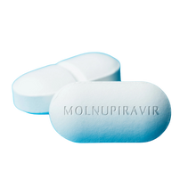 Load image into Gallery viewer, Molnupiravir/EIDD-2801 - Antiviral Treatment for Feline Infectious Peritonitis (FIP)