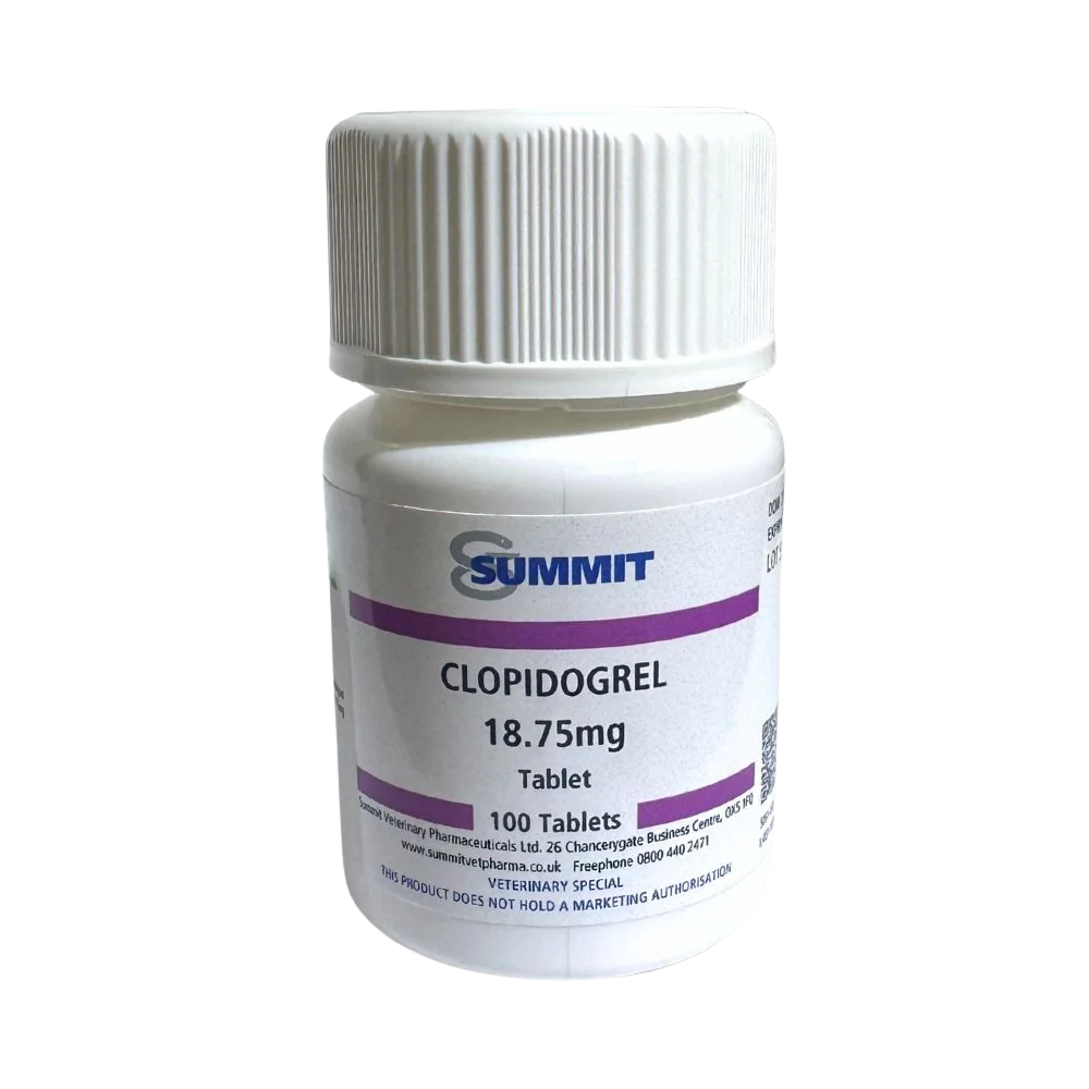 Clopidogrel (Generic Plavix) - Anti-Platelet Medication